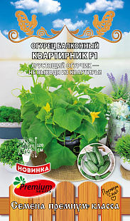 КВАРТИРНИК F1